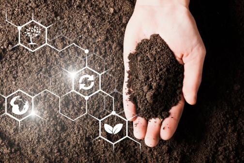 Bio Fertilizer